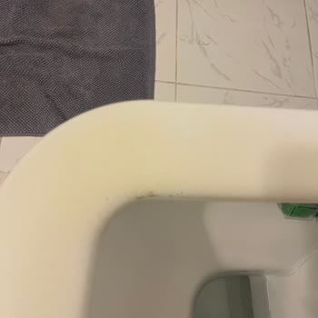 Kale Optimum Klozet Kapağı Kırıldı