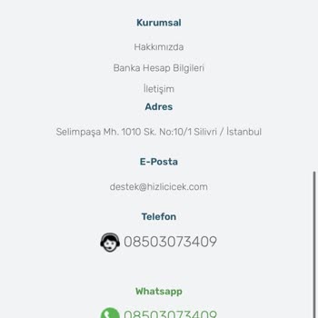 Hızlı Çiçek (hizlicicek.com) Siparişimi Vermiyor