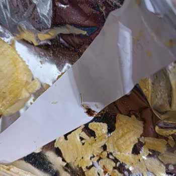 Ruffles Cipsinden Örümcek Çıktı