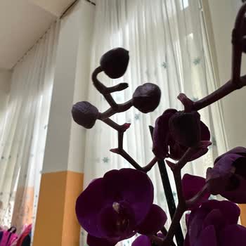 Çiçek Sepeti Kötü Çiçek Gönderimi