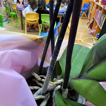 Çiçek Sepeti Kötü Çiçek Gönderimi