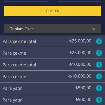 E-Devlet (Turkiye.gov.tr) Hesap Doğrulaması Bahanesiyle Engel Koydu