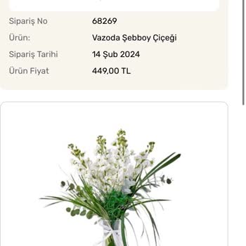 Hızlı Çiçek Siparişi Gelmedi