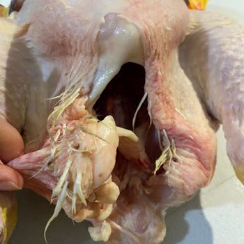 Erpiliç Karaköprü Market Tavuk Temizliğindeki Dikkatsizlik