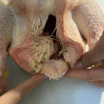 Erpiliç Karaköprü Market Tavuk Temizliğindeki Dikkatsizlik