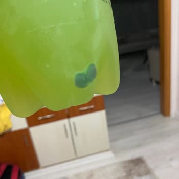 Schweppes Bitter Lemon İçerisinde Yabancı Madde