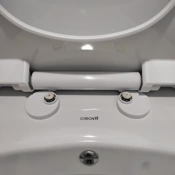 Creavit Kırılan Klozet Kapağı