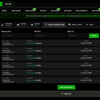 BorsaCasino Site Parayı Vermiyor Bilgi