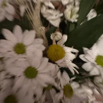 Taze Çiçek (tazecicek.com) Teslimat Saati Ve Özensiz Ürün Teslimi