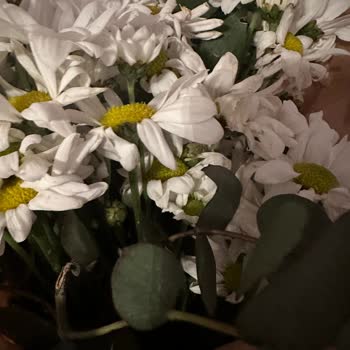 Taze Çiçek (tazecicek.com) Teslimat Saati Ve Özensiz Ürün Teslimi