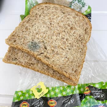 Uno Ekmek Ürün Küflü Çıktı!