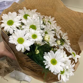 Osevio.com Hizmet Tarafından Yanıltıldım