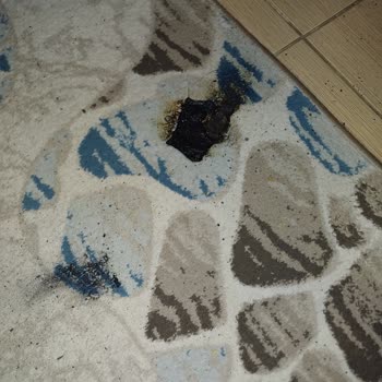 Infinix Telefon Elimizde Patladı! Gerçekten Patladı