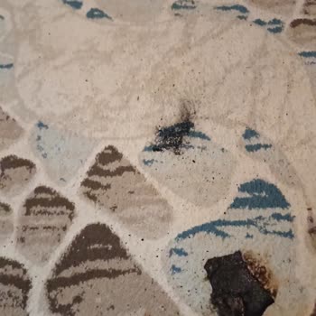 Infinix Telefon Elimizde Patladı! Gerçekten Patladı