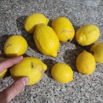 Happy Center İslambey Şubesi Kalitesiz Ürün Gönderimi