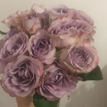 Taze Çiçek (tazecicek.com) Taze Çiçek (tazecicek.com) Gelen Çiçek Kalitesi