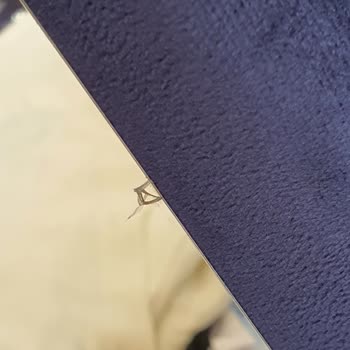 Kastamonu Kervan Avm Mağduriyeti