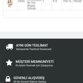 Çiçek Gönder 14.02.2024 12:45 Te Gönderdiğim Çiçek Teslim Edilmedi.