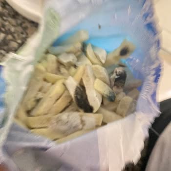 Şok Marketler Dikkatsizlik