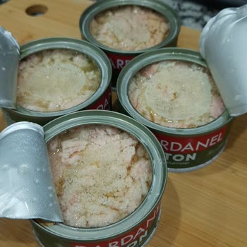 Dardanel Ton Balığı Bozuk Olma İhtimali