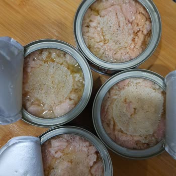 Dardanel Ton Balığı Bozuk Olma İhtimali