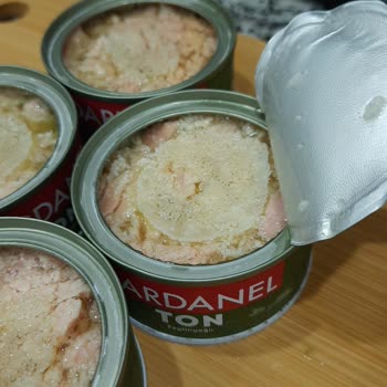 Dardanel Ton Balığı Bozuk Olma İhtimali