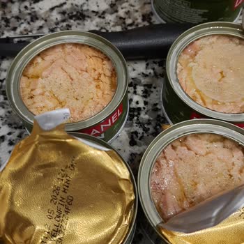 Dardanel Ton Balığı Bozuk Olma İhtimali