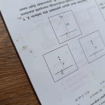 Tadım Gıda Kavrulmuş Kabak Çekirdeği İçerisinden Örümcek Çıktı