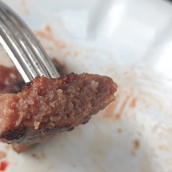 Köfteci Yusuf Köfteden Çıkan Kıl