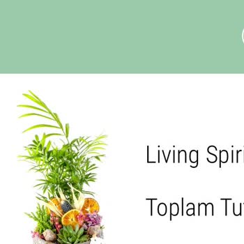 Taze Çiçek (tazecicek.com) 14 Şubat Hayal Kırıklığı: Çürük Çiçekler Ve Böcekler!