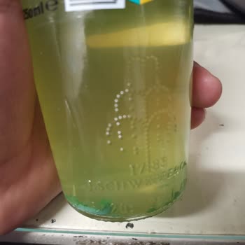 Schweppes Bitter Lemon Yeşil Tortular