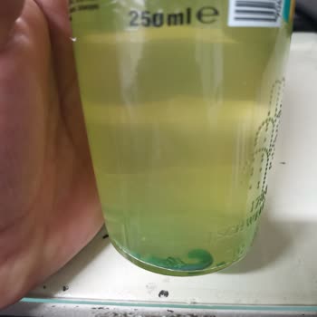 Schweppes Bitter Lemon Yeşil Tortular