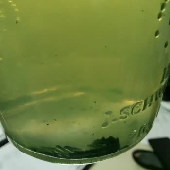 Schweppes Bitter Lemon Yeşil Tortular