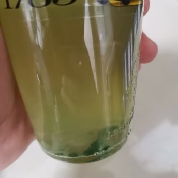 Schweppes Bitter Lemon Yeşil Tortular