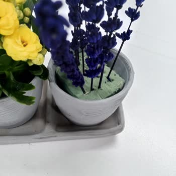 Çiçek Sepeti Gönderim İçin Rezil Oldum