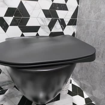 Creavit Creativ Klozet Kapağı Menteşe