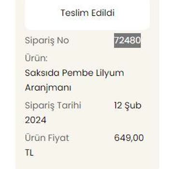 İstanbul Çiçekleri İlgisiz, Sorumsuz, Memnuniyetsiz, Muhatapsız Ne İsterseniz Var