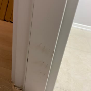 Benim Temizlikçim Firmasının Temizlikten Haberi Yok