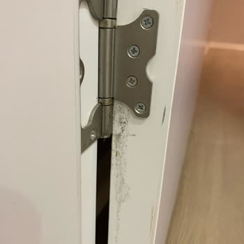Benim Temizlikçim Firmasının Temizlikten Haberi Yok