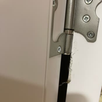 Benim Temizlikçim Firmasının Temizlikten Haberi Yok