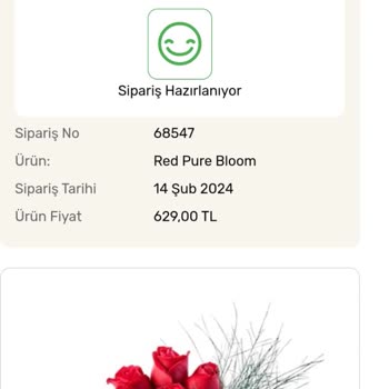 Hızlı Çiçek Siparişimi Göndermedi