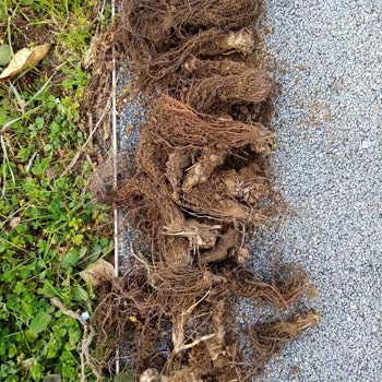 Ada Tarım Çürük Ürün Gönderildi.