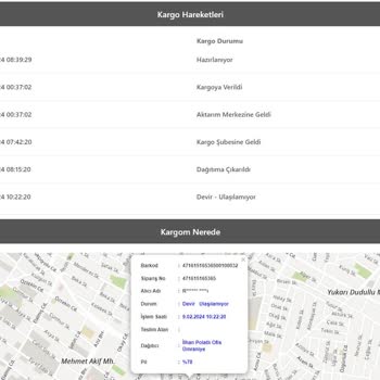 Bir Günde Kargo Firması Asla Çalışmıyor!