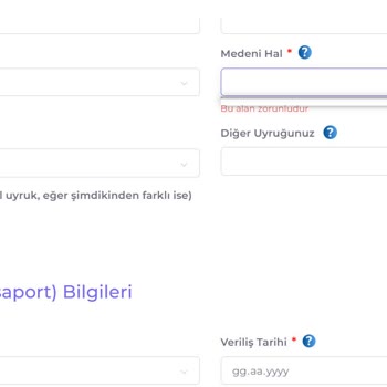 Kosmos Vize Hizmetleri Kosmos Vize Başvuru Formu Doldurulmuyor!