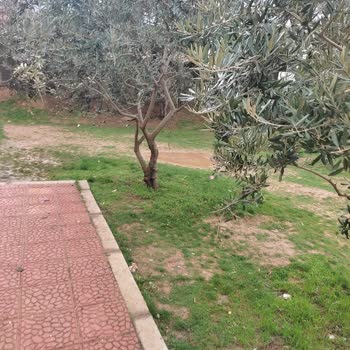 Milli Eğitim Bakanlığı (MEB) Okulda Bakım Sıfır