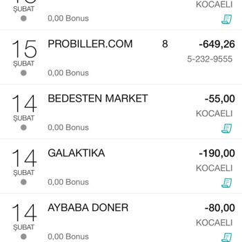 probiller.com Para Neden Gidiyor