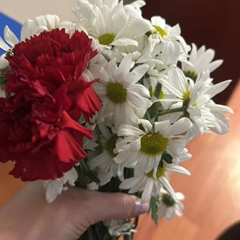 ÇiçekSepeti Sevgililer Günü Hüsranı: Yanlış Ürün Hayal Kırıklığı