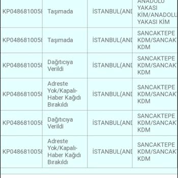 PTT Kargo Teslimat Sorunu Ve Mağduriyetim
