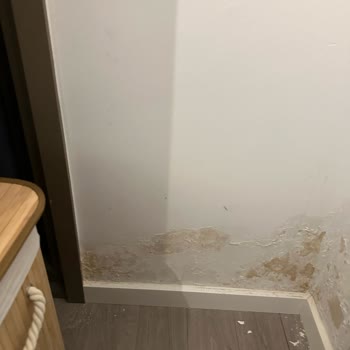 Folkart Yapı Nem Koku İlgisizlik