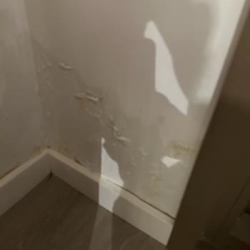 Folkart Yapı Nem Koku İlgisizlik